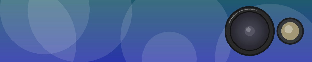 New: paid designs from verified designers
